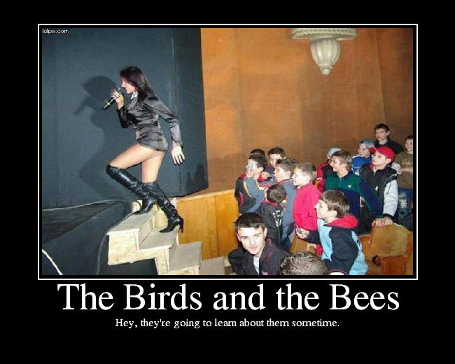 the birds and the bees image